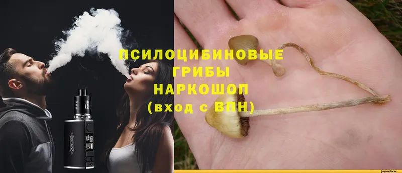 Галлюциногенные грибы Magic Shrooms  Советская Гавань 